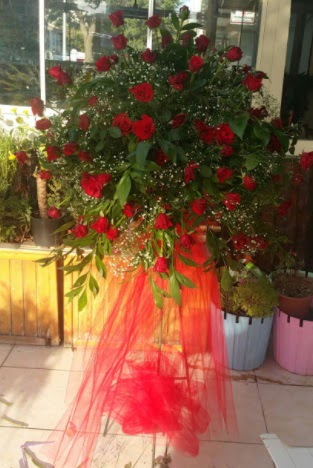 71 adet k�rm�z� g�lden ferf�rje �i�e�i  Ankara �i�ek , �i�ek�i , �i�ek�ilik 