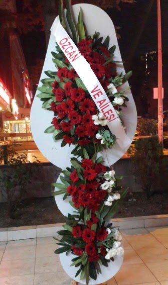 D���n �i�e�i A��l�� �i�e�i  Ankara ucuz �i�ek g�nder 