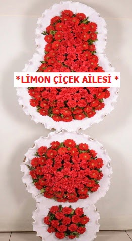 3 katl� k�rm�z� d���n a��l�� �i�e�i  Ankara �i�ek�i telefonlar� 
