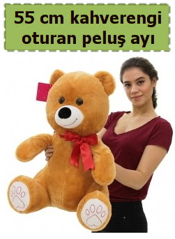 55 cm orta boy oturan kahverengi pelu� ay�  Ankaraya �i�ek yolla 
