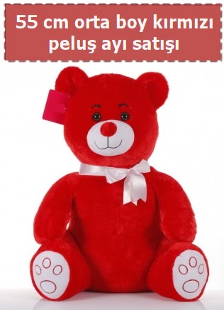 55 cm k�rm�z� orta boy oturan pelu� ay�  Ankara �i�ek g�nderme 