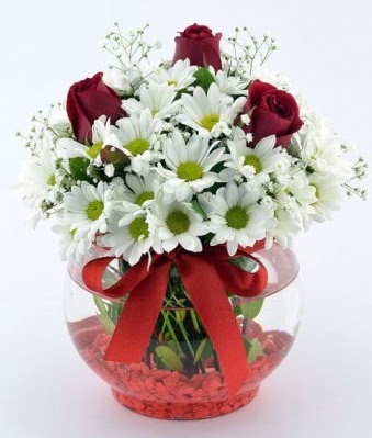 Fanusta 3 Gül ve Papatya  Ankara hediye sevgilime hediye çiçek  