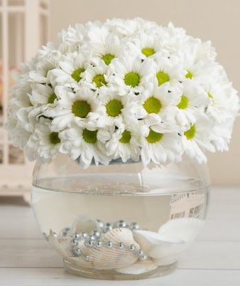 Fanusta beyaz Papatya  Ankara çiçek , çiçekçi , çiçekçilik  