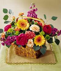  Ankara yurti�i ve yurtd��� �i�ek sipari�i  Sebboy Gerbera Karanfil tanzim