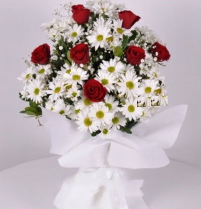 7 adet k�rm�z� g�l ve papatyalar krizantem  Ankara hediye sevgilime hediye �i�ek 