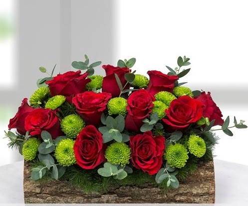 Silindir k�t�kte 11 k�rm�z� g�l ve krizantem  Ankara hediye sevgilime hediye �i�ek 