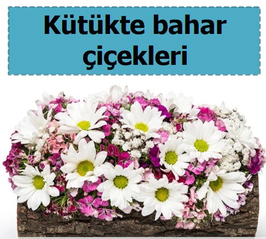 K�t�k i�erisinde k�r �i�ekleri  Ankara ucuz �i�ek g�nder 
