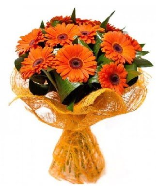 11 adet turuncu gerbera buketi  Ankara çiçek online çiçek siparişi 