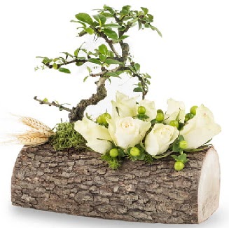 Do�al k�t�kte bonsai a�ac� ve 7 beyaz g�l  Ankara �nternetten �i�ek sipari�i 