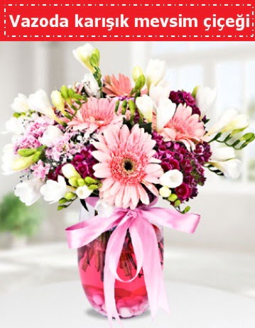 Vazoda kar���k mevsim �i�e�i  Ankara ucuz �i�ek g�nder 