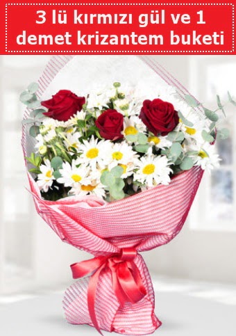 3 adet k�rm�z� g�l ve krizantem buketi  Ankara �nternetten �i�ek sipari�i 