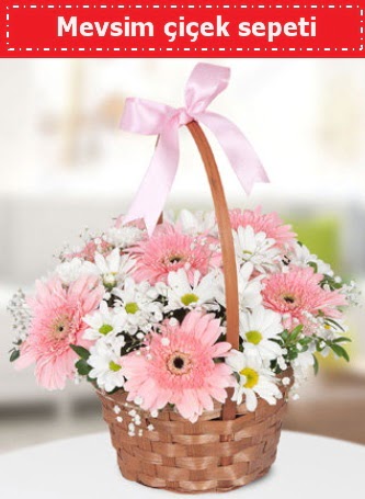 Mevsim k�r �i�ek sepeti  Ankara ucuz �i�ek g�nder 