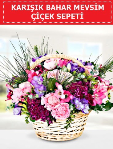 Kar���k mevsim bahar �i�ekleri  Ankara �i�ek sat��� 
