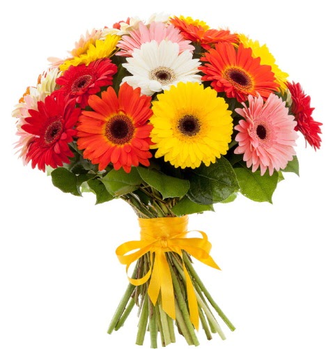Gerbera demeti buketi  Ankara �i�ek , �i�ek�i , �i�ek�ilik 