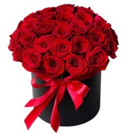 25 adet k�rm�z� g�l k�z isteme �i�e�i  Ankara hediye sevgilime hediye �i�ek 