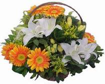 Ankara uluslararas� �i�ek g�nderme  sepet modeli Gerbera kazablanka sepet