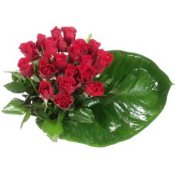  Ankara �i�ek�iler  12 adet g�l �zel bir buket