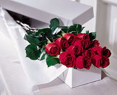  Ankara çiçek , çiçekçi , çiçekçilik  özel kutuda 12 adet gül