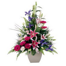  Ankara kaliteli taze ve ucuz �i�ekler  lilyum gerbera iris lilyum