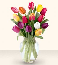 Ankara çiçek online çiçek siparişi  13 adet cam yada mika vazoda laleler