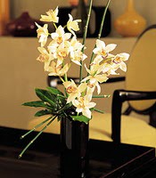  Ankara iek online iek siparii  cam yada mika vazo ierisinde dal orkide
