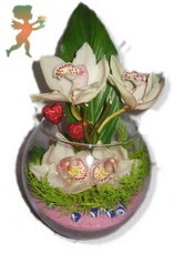 fanus ierisinde 4 orkide  Ankara hediye sevgilime hediye iek 