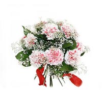 pembe renkte 9 karanfil   Ankara �i�ek , �i�ek�i , �i�ek�ilik 