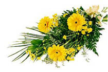 sari gerbera ve sari �i�ek   Ankarada �i�ek g�nderme sitemiz g�venlidir 