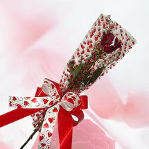 tek bir adet g�l seffafta   Ankara 14 �ubat sevgililer g�n� �i�ek 