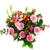 lilyum ve gerbera �i�ekleri - �i�ek se�imi -  Ankara �i�ek�i telefonlar� 