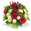 karanfil gerbera ve g�ller - d�s�nenelere �zel -  Ankara �i�ek�i telefonlar� 