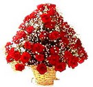 41 adet kirmizi g�l sepette   Ankara ucuz �i�ek g�nder 