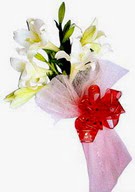  Ankara ucuz �i�ek g�nder  ince vazoda gerbera ve ayi