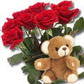 11 adet g�l ve ayicik buket   Ankara �i�ek g�nderme 