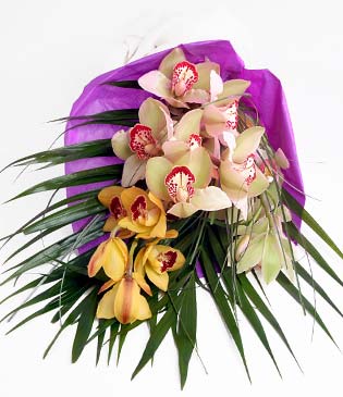  Ankara yurtii ve yurtd iek siparii  1 adet dal orkide buket halinde sunulmakta