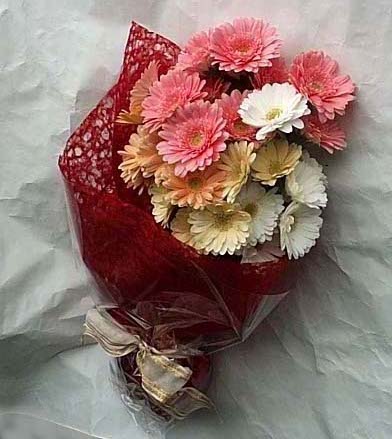 19 adet karisik gerbera buketi  Ankara g�venli kaliteli h�zl� �i�ek 