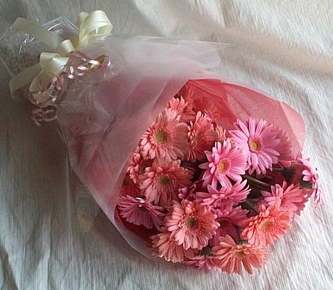 17 adet gerbera buketi  Ankara g�venli kaliteli h�zl� �i�ek 