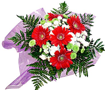 gerbera ve krizantem demeti  Ankara 14 �ubat sevgililer g�n� �i�ek 