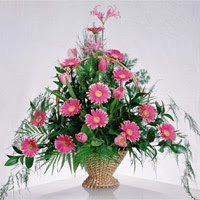 gerbera �i�eklerinden sepet tanzimi  Ankara �i�ek sipari�i vermek 