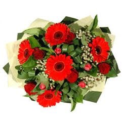  Ankara �i�ek sat���   5 adet kirmizi g�l 5 adet gerbera demeti