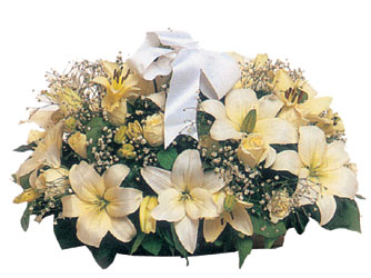  Ankara �i�ek ma�azas� , �i�ek�i adresleri  Lilyum ve 7 adet beyaz g�l sepeti
