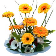camda gerbera ve mis kokulu kir �i�ekleri  Ankaraya �i�ek yolla 