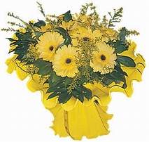  Ankara 14 �ubat sevgililer g�n� �i�ek  9 adet sari g�zel gerbera