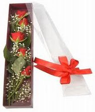 kutu içinde 5 adet kirmizi gül  Ankara çiçek servisi , çiçekçi adresleri 