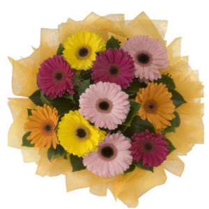  Ankarada �i�ek g�nderme sitemiz g�venlidir  11 adet kar���k gerbera �i�e�i buketi