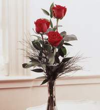  Ankara hediye sevgilime hediye çiçek  Vazoda 3 adet güzel gül
