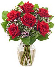 Kız arkadaşıma hediye 6 kırmızı gül  Ankara çiçek servisi , çiçekçi adresleri 