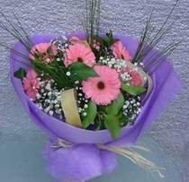  Ankara �nternetten �i�ek sipari�i  9 adet gerbera g�zel �i�egi