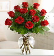 Vazo i�erisinde 12 k�rm�z� g�l  Ankara �i�ek , �i�ek�i , �i�ek�ilik 