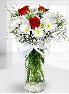 3 k�rm�z� g�l ve krizantemler camda  Ankara �i�ek sipari�i vermek 